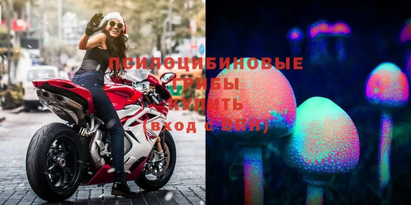 гашиш Аркадак