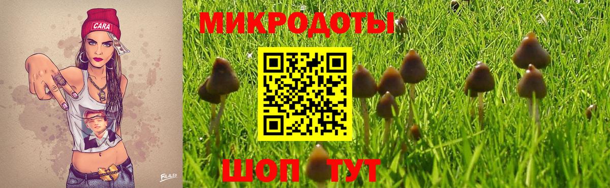 Псилоцибиновые грибы Psilocybine cubensis  Псилоцибиновые грибы GOLDEN TEACHER  Вход с VPN  Верхняя Салда 